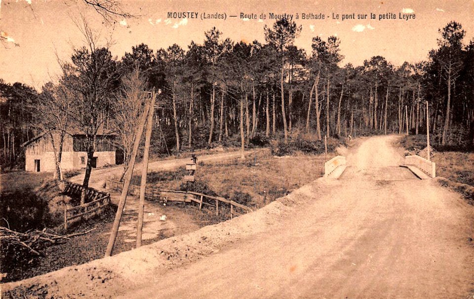 Moustey (Landes) - route de Belhade