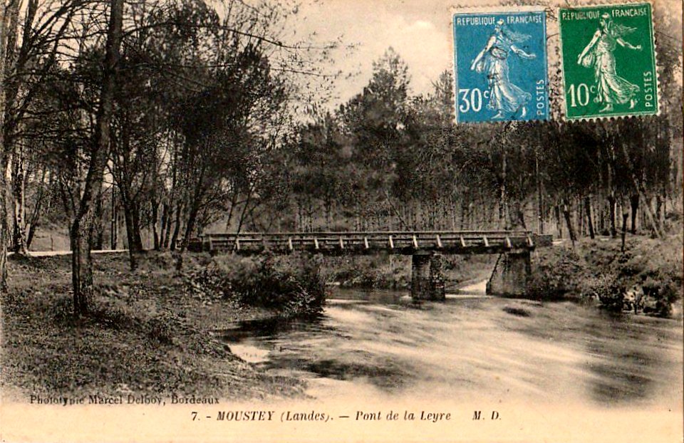 Moustey (Landes) - bords de la Leyre 2