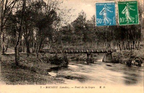 Moustey (Landes) - bords de la Leyre 2