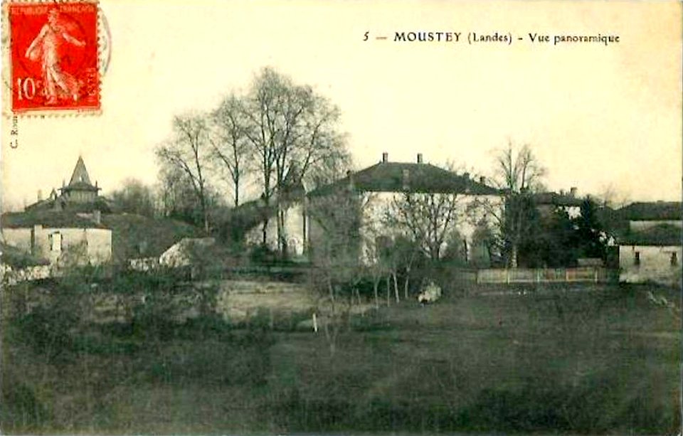 Moustey (Landes) - vue générale 1
