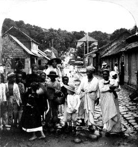 Mount Pelée 1902 refugees