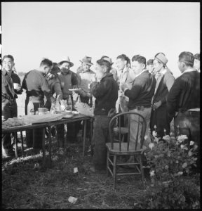 Mountain View, California. A pre-evacuation barbecue on the Mitarai farm in Santa Clara County, Cal . . . - NARA - 536411 photo