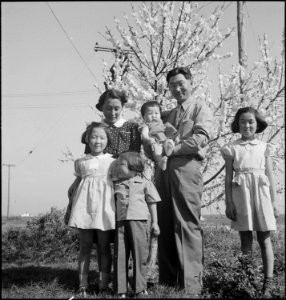 Mountain View, California. Members of the Mitarai family on their ranch, six weeks prior to evacuat . . . - NARA - 537612