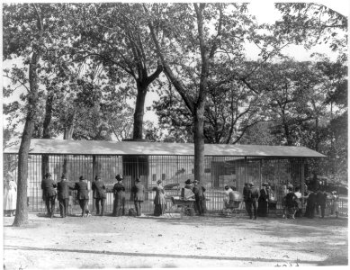 Mass. - Boston - Franklin Park Zoo in Jamaica Plain; view of visitors looking at bear cages LCCN2006689765