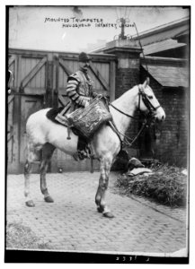 Mounted Trumpeter, Household Infantry, London LCCN2014689408