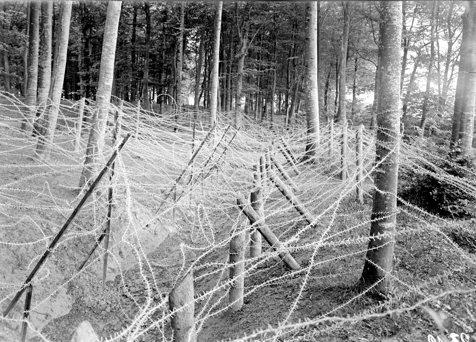 Massive Stacheldrahthindernisse im Niederwald - CH-BAR - 3238617
