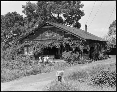 Mountain View, California. Farm house in rural section where farmers of Japanese ancestry raised tr . . . - NARA - 536022 photo