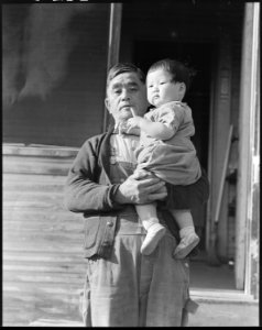 Mountain View, California. Grandfather of 64 who came to the United States from Japan at the age o . . . - NARA - 536427 photo
