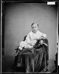 Master Shropshire (4223048046)