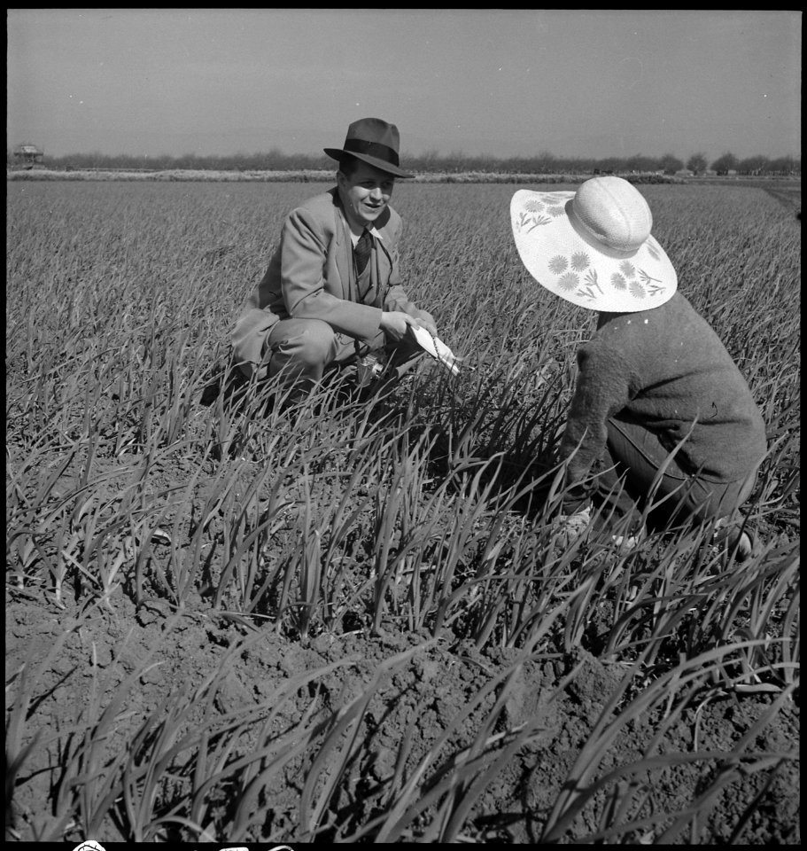 Mountain View, California. John Bird, former Director of Information for the War Relocation Authori . . . - NARA - 537528