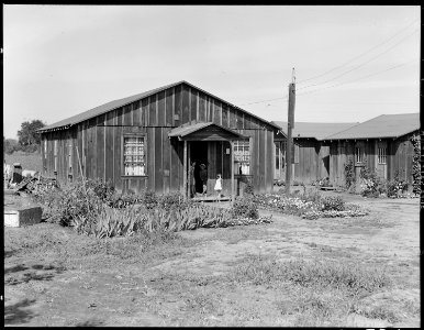 Mountain View, California. Typical California ranch houses of residents of Japanese ancestry who ar . . . - NARA - 537835 photo