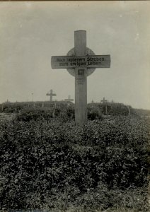 Massengrab auf dem Zwinin