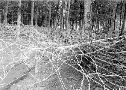 Massive Drahthindernisse im Niederwald - CH-BAR - 3238618