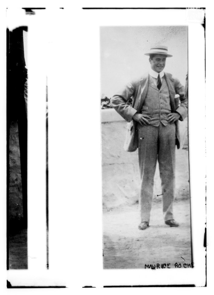 Maurice Roche LCCN2014689146