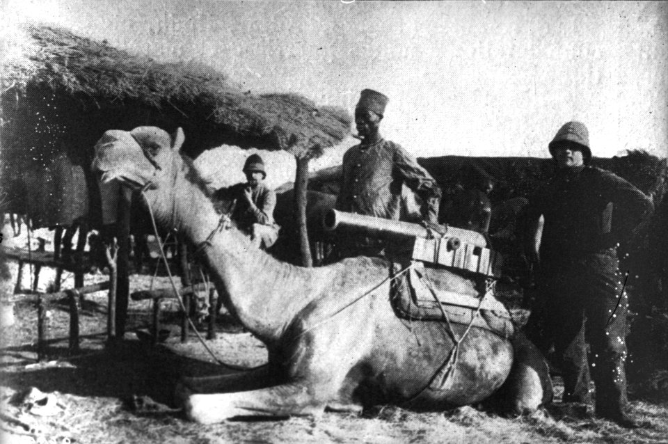 Mauritanie-Transport de canon