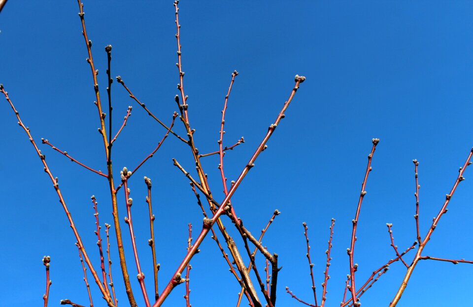 Sky nature no one