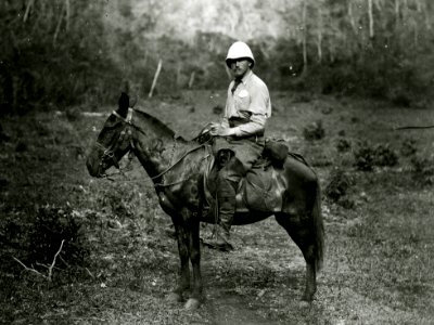Maudslay in Quiriguá