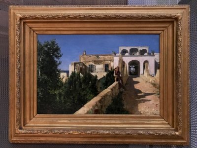 Max Ohnefalsch-Richter - Scene - in the Neues Museum