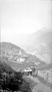 Maultierkolonne - CH-BAR - 3237163