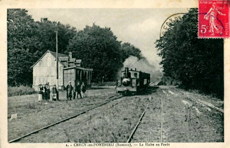 Maxime Martin 1 - CRECY-EN-PONTHIEU - La Halte en Forêt