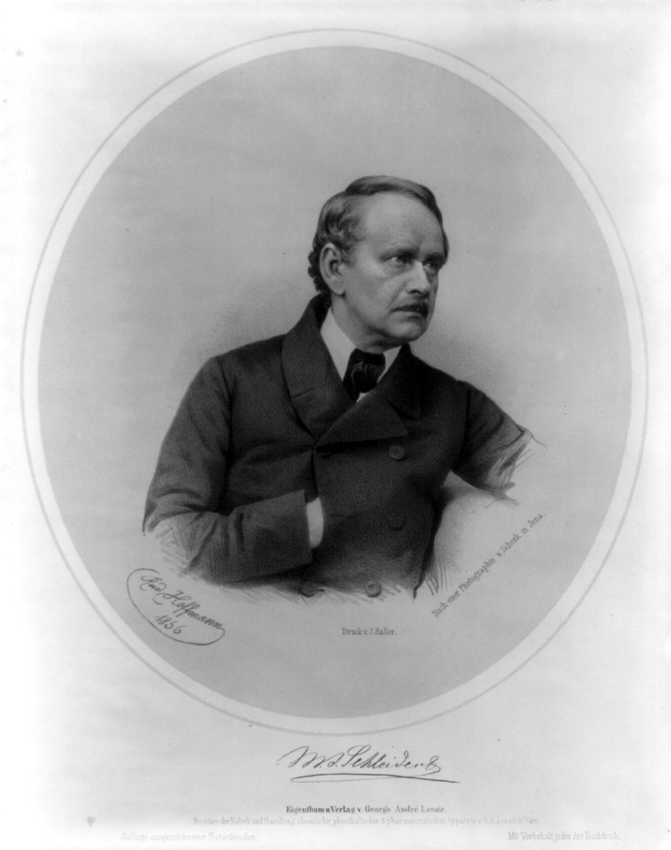 Matthias Jakob Schleiden, 1804-1881, head and shoulders, facing right LCCN2006684578