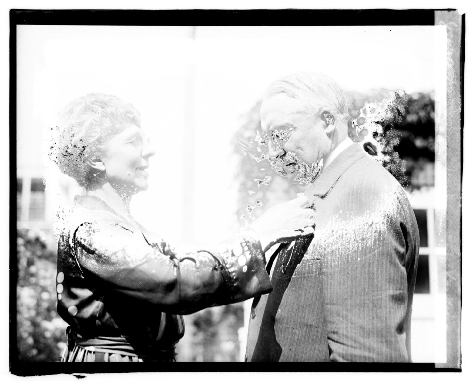 Mr. & Mrs. Warren G. Harding LCCN2016828164