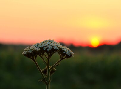 Sun sky landscape photo