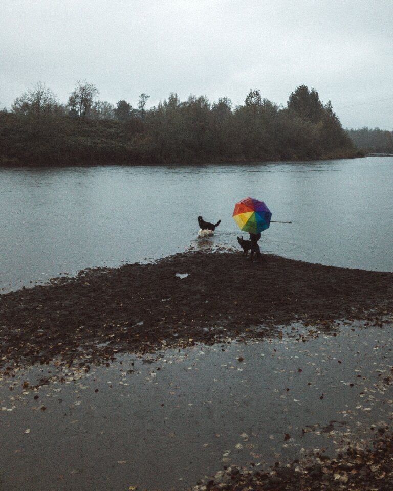 Alone man dog