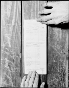 Mr. Blaine Sergent's pay slip. P V & K Coal Company, Clover Gap Mine, Lejunior, Harlan County, Kentucky. - NARA - 541376