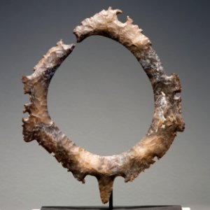 Maya eccentric circular flint Soleil de nuit lot17