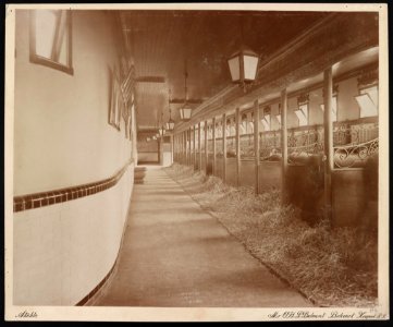 Mr. O.H.P. Belmont, Belcourt, Newport, R.I. Stable - Frank H. Child, photographer, Newport, R.I. LCCN2014650197