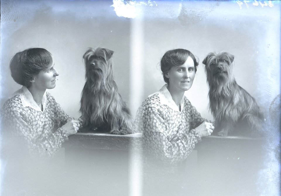 Mrs Bolton and dog, 28 Jul 1916 (17374496420)