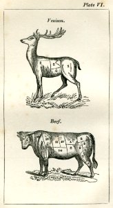 Mrs Rundell Plate VI Venison Beef