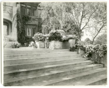 Mrs. Albert Herter, East Hampton, blue & white garden - photographs from the Johnston-Hewitt Studio, 536 Fifth Avenue, New York. LCCN2012645991