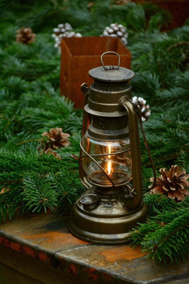 Holly pine cones lighting
