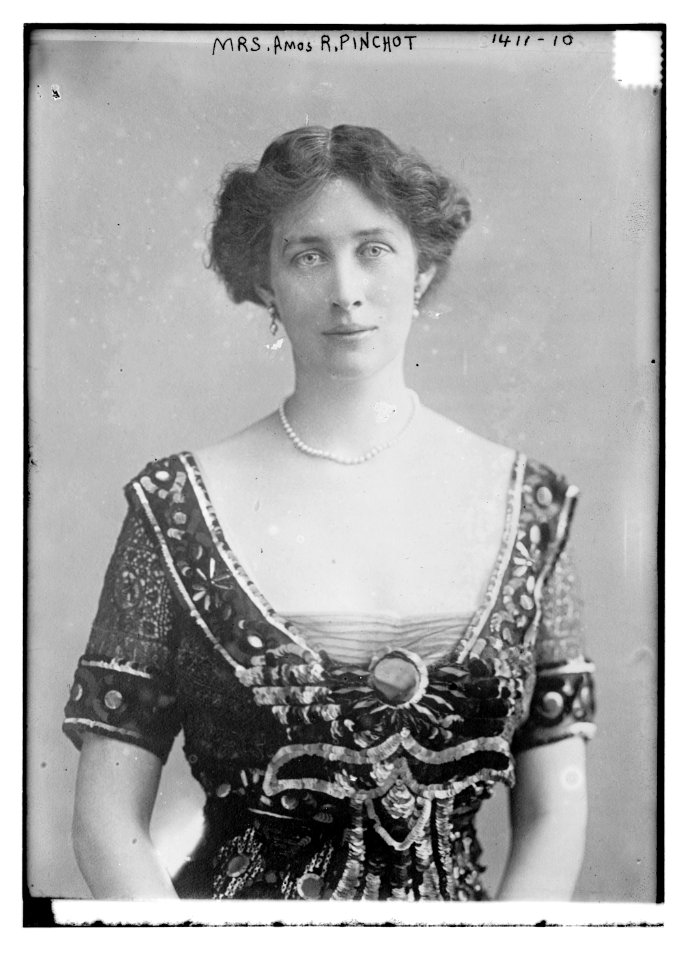 Mrs. Amos R. Pinchot LCCN2014687816