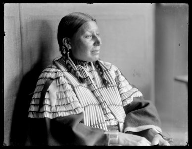 Mrs. American Horse, American Indian LCCN2006679581