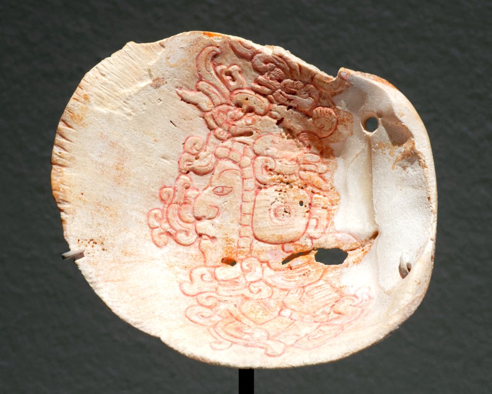 Maya shell pectoral Soleil de nuit lot26