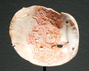 Maya shell pectoral Soleil de nuit lot26