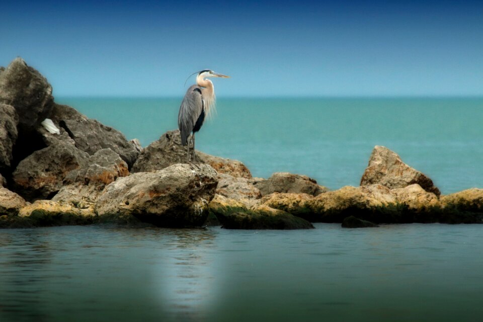 Water nature horizon