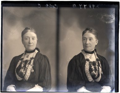 Mrs Cobb, 19 Dec 1908 (16555638966)