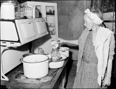 Mrs. Bill Daniels, wife of a miner, canning pears. Panther Red Ash Coal Corporation, Douglas Mine, Panther, McDowell... - NARA - 541000