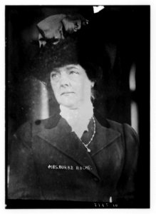 Mrs. Burke Roche LCCN2014689147