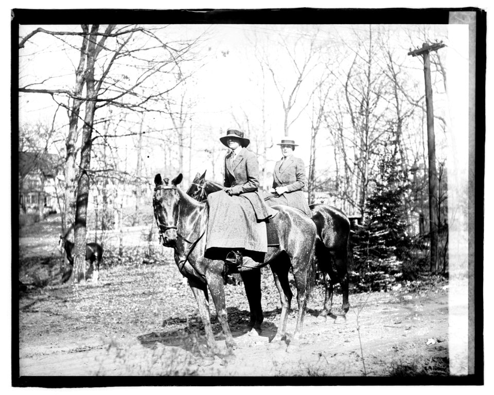 Mrs. C.R.P. Rodgers, Mrs. Harriman LCCN2016827748
