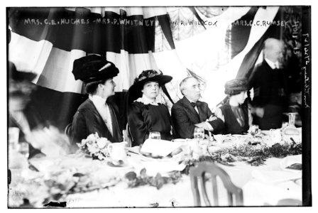 Mrs. C.E. Hughes - Mrs. P. Whitney - W.R. Willcox - Mrs. Crumsey LCCN2014702527