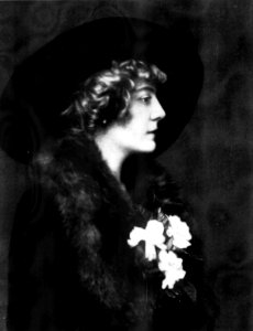 Mrs. Charles de Loosey Oelrichs - Vogue 1914 photo