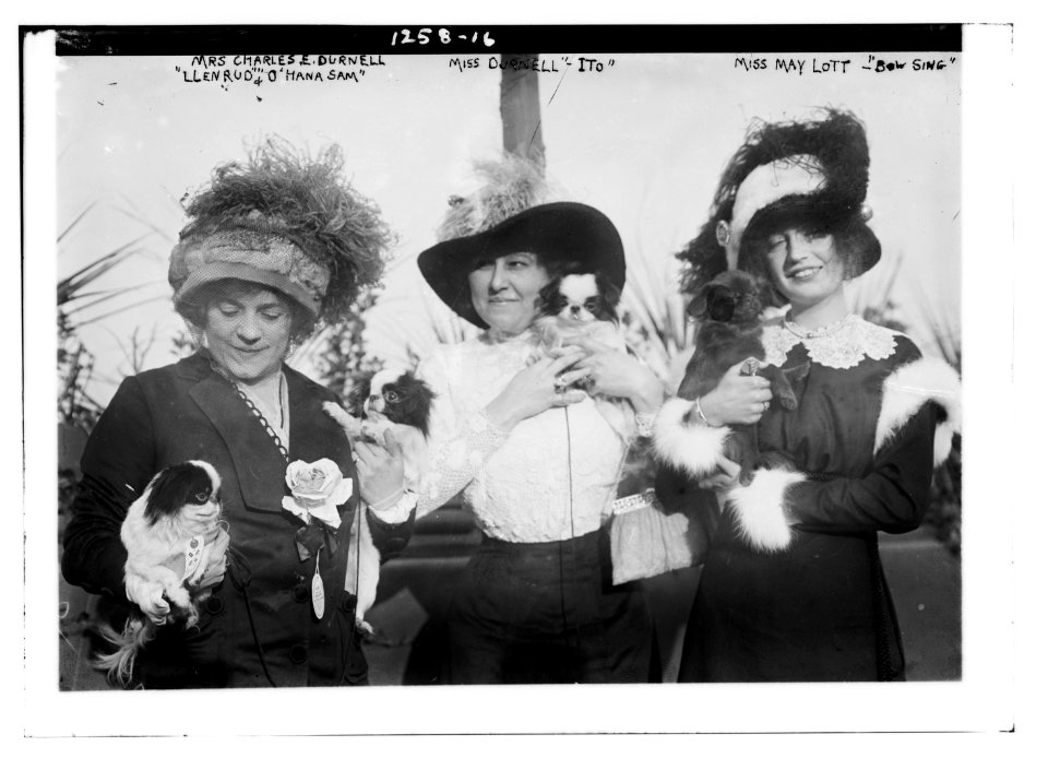 Mrs. Charles E. Durnell Llenrud & O' Hana Sam; Miss Durnell Ito; Miss May Lott Bow Sting LCCN2014686531