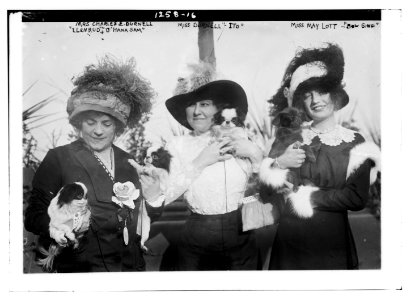 Mrs. Charles E. Durnell Llenrud & O' Hana Sam; Miss Durnell Ito; Miss May Lott Bow Sting LCCN2014686531