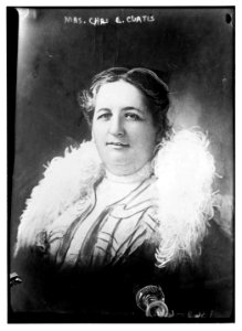 Mrs. Charles E. Curtis LCCN2014687324