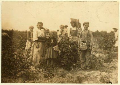 Mrs. Bissie and family (Polish). They all work in fields near Baltimore in summer and have worked at Biloxi, Miss. for two years. LOC nclc.05421